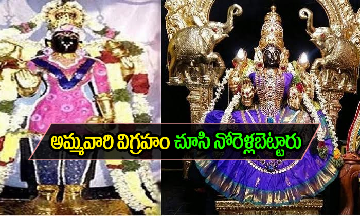  Mayiladuthurai Priests Adorn Idol With Salwar Kameez-TeluguStop.com