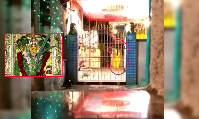 The Real Thing At Durga Temple In Devi Navaratri The Real Thing At Durga Temple In Devi Navaratri-TeluguStop.com