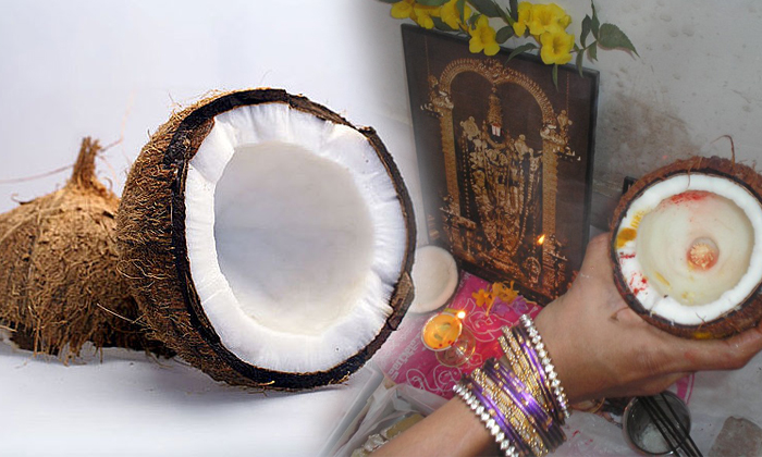  Unknown Facts About Indian Coconut-TeluguStop.com