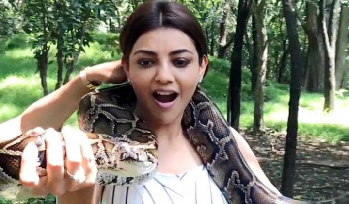  Python Playing Kajal Aggarwal Neck-TeluguStop.com