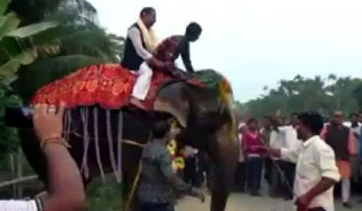 The Deputy Speaker Falls Off Elephant At Assam The Deputy Speaker Falls Off Elephant At Assam-TeluguStop.com