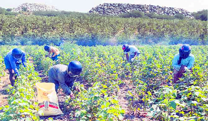  That Farmers Use Helmets At Agriculture Land-TeluguStop.com