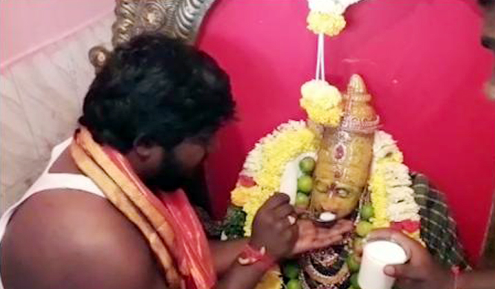  Kota Maysamma Statue Is Drinking Milk At Shamshabad-TeluguStop.com