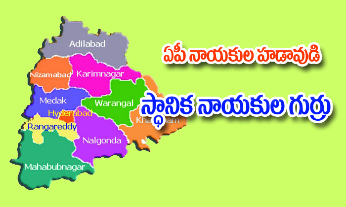  Ap Leaders Campaigning In Telangana Elections-TeluguStop.com