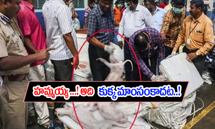 Chennai Tanuvas Confirms That Seized Consignment Is Not Dog Meat Chennai Tanuvas Confirms That Seized Consignment Is Not Dog Meat-TeluguStop.com