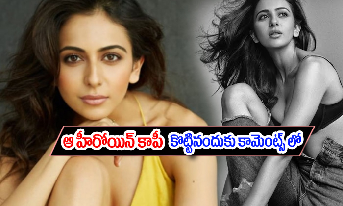  Comments On Rakul Preet Over Copy Disha Patani Hot Look-TeluguStop.com