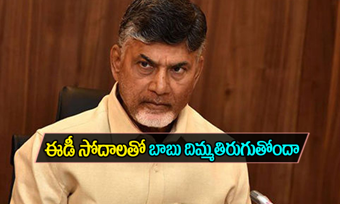  Ed Conducted Seraches In The Offices And Houses Of Tdp Mp-TeluguStop.com