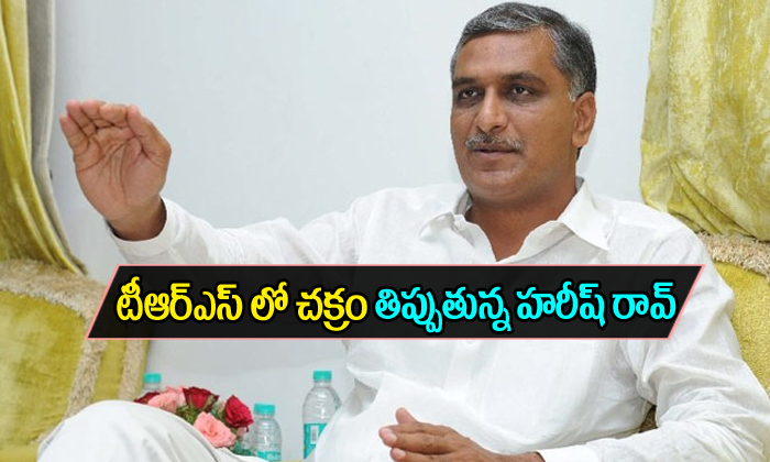  Harish Rao Eye On Kodangal Constituency-TeluguStop.com