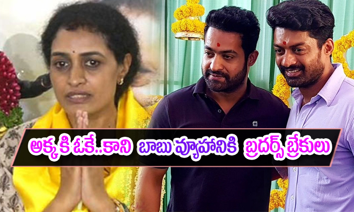  Ntr And Kalyanram Campaign For Sister Suhasini In Kukatpally-TeluguStop.com
