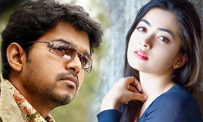  Rashmika Mandanna Will Not Share Screen With Tamil Actor Vijay-TeluguStop.com