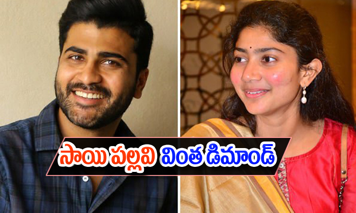  Sai Pallavi Demands Reamount For The Movie Padi Padi Lache Manasu-TeluguStop.com