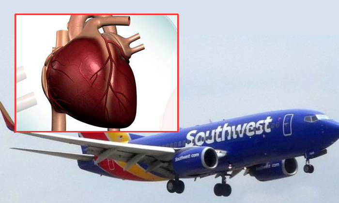  Forgotten Man Real Heart In Flight1-TeluguStop.com