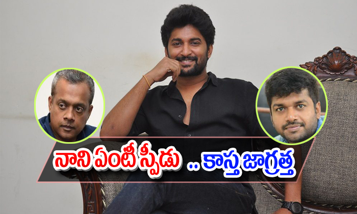  Hero Nani Puts Too Much Efforts On Movies In His Next-TeluguStop.com