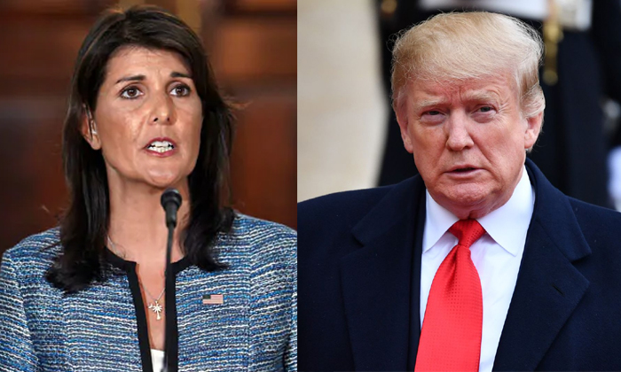  Nikki Haley Comments On Donald Trump-TeluguStop.com