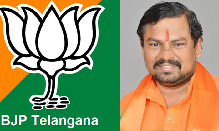  One Marmy In Telangana Elections From Bjp-TeluguStop.com