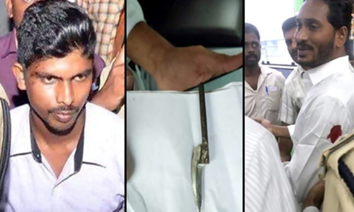  Heat Ups The Case Of Ys Jagan Attack In Airport-TeluguStop.com