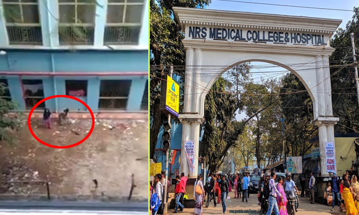  Nrs Hospital College Two Girls Killed 16 Dog Puppies In Kolkata-TeluguStop.com