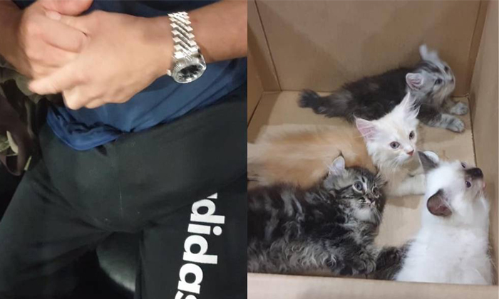  This Different Smuggling A Man Smuggles Cats In His Pants-TeluguStop.com