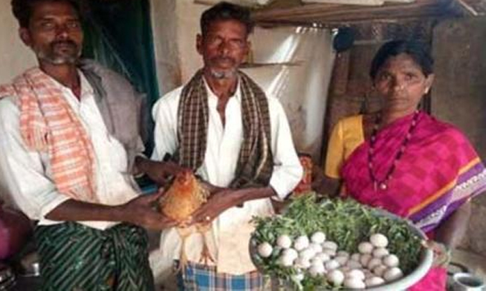  This Hen Gets Guinness Book Of World Record-TeluguStop.com
