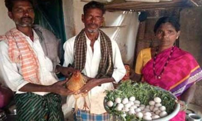 This Hen Gets Guinness Book Of World Record This Hen Gets Guinness Book Of World Record-TeluguStop.com