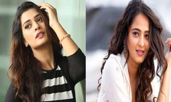  Anuskha Once Again Ready To Act With Nagarjuna-TeluguStop.com