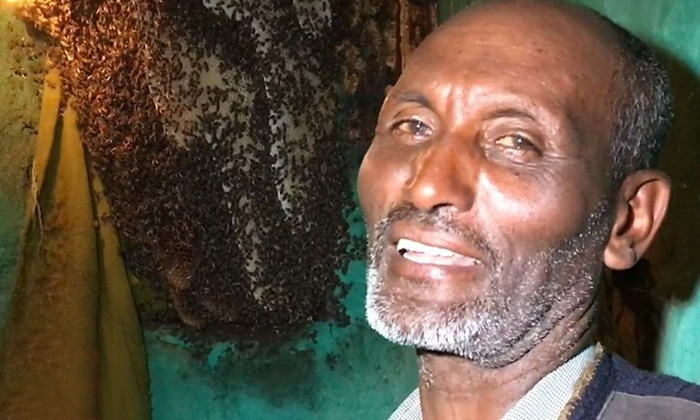  Father Of Bees In Ethiopias Oromia Region-TeluguStop.com