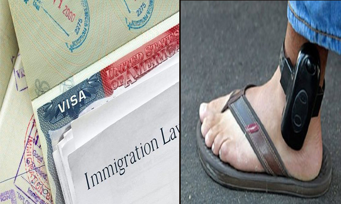 Trump About Pay And Stay Visa Case On Nri Students Trump About Pay And Stay Visa Case On Nri Students-TeluguStop.com