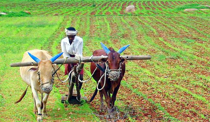  Centrel Government Conduct Survey To Assess Plight Of Farmers-TeluguStop.com