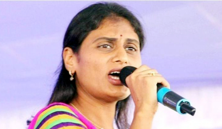  Ys Sharmila Moving In Political Campaign-TeluguStop.com