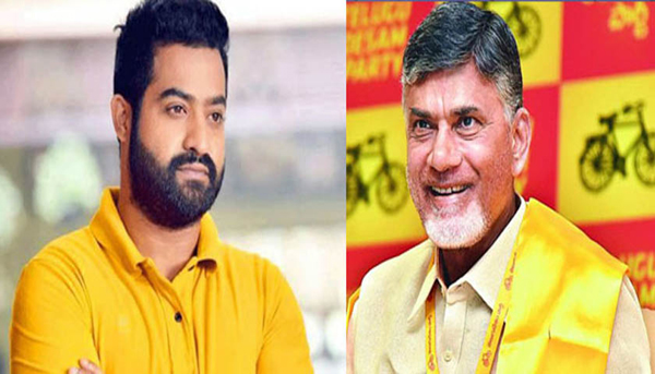  Jr Ntr Is Only One Option For Tdp-TeluguStop.com