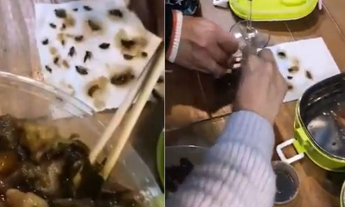  Takeaway Customer Finds 40 Dead Cockroaches In Her Meal-TeluguStop.com