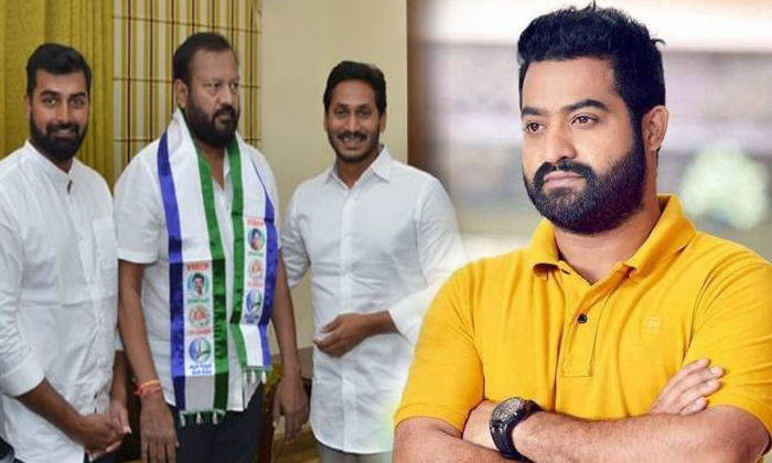  Jr Ntr Campaign To Uncle Narne Srinivasarao-TeluguStop.com