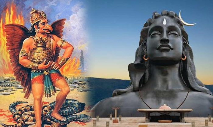  You Must Know About Festival Maha Shivaratri As Per Garuda Puranam-TeluguStop.com