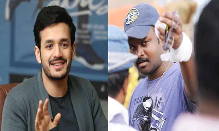  Akhil And Bommarillu Bhaskar Movie Confirmed-TeluguStop.com