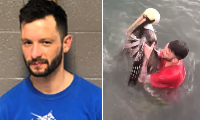  American Arrested For Catching Pelican Bird Goes Viral And Arrested-TeluguStop.com