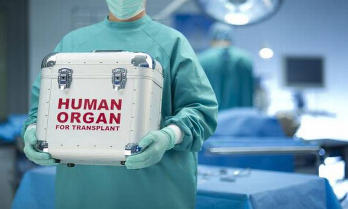  Corporate Hospital Robbery Brain Dead Patient Organs-TeluguStop.com