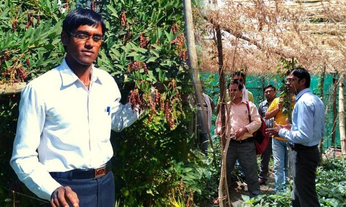  Akash Chaurasia A Millionaire Farmer From Bundelkhand Multilayer-TeluguStop.com