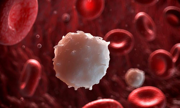  Interesting Facts About Blood Cancer, Blood Cancer, Plasma Cells, Smoking, Lukem-TeluguStop.com