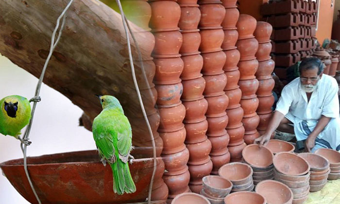  Kerala Man Narayanan Spent Rs 6 Lakh To Buy Clay Water Pots For Birds-TeluguStop.com