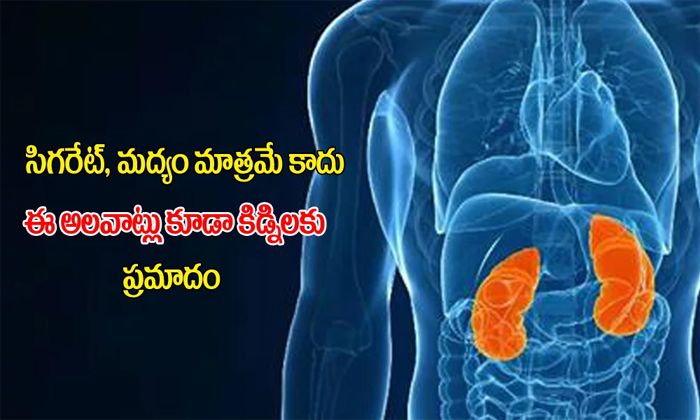  Kidneys, Habits That Damages Kidneys, Kidneys Health-TeluguStop.com