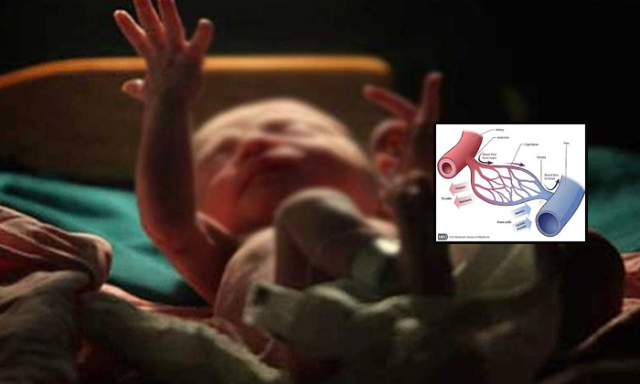  America Scientist Found A Disease Effected In Childrens Lungs1 1-TeluguStop.com