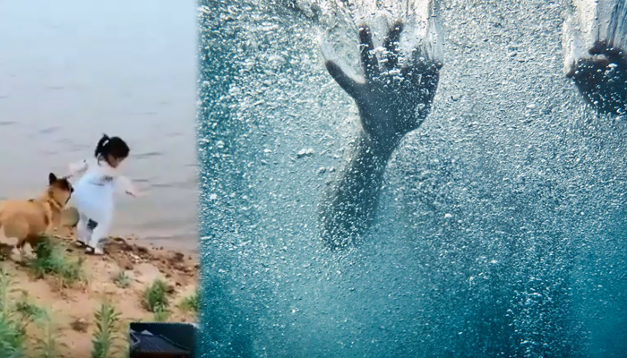 Growing Video Of Dog Saving Girl From Falling Into Deep Water1 1 Growing Video Of Dog Saving Girl From Falling Into Deep Water1 1-TeluguStop.com