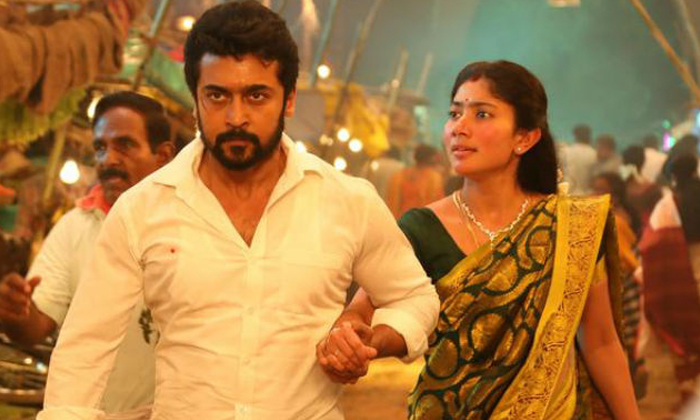  Hero Surya Biggest Disaster In His Career With Ngk Movie-TeluguStop.com