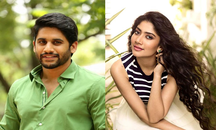  Sai Pallavi Romance With Naga Chaitanya-TeluguStop.com