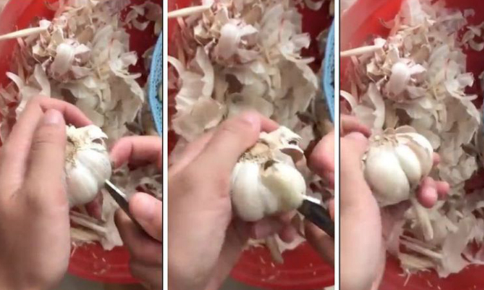 How To Peel Of Garlic Easy Way Video Viral In Social Media 1-TeluguStop.com