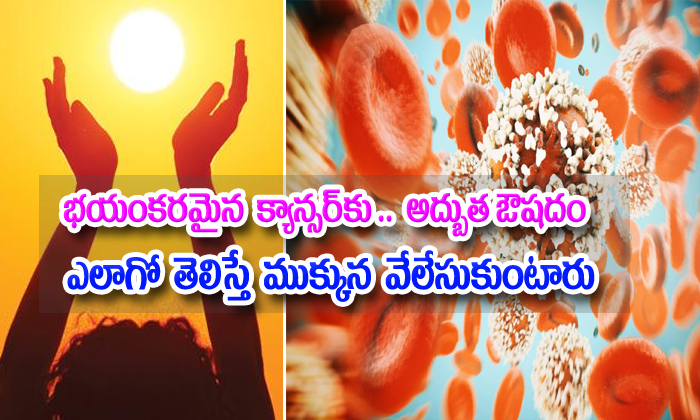  Vitamin D May Prolong Life In People With This Harmful Disease-TeluguStop.com