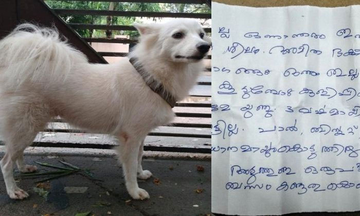  Kerala Man Abandoned His Dog Because She Had An Illicit Relationship With A Nea-TeluguStop.com