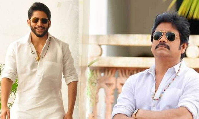 సంక్రాంతికి బంగార్రాజు లేనట్ సంక్రాంతికి బంగార్రాజు లేనట్