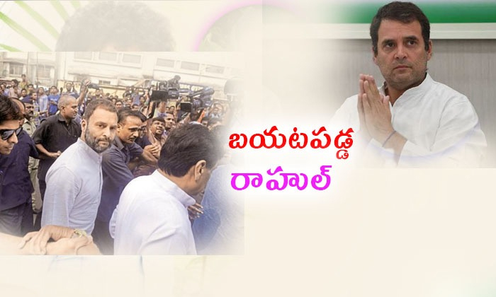  Rahul Gandhi Getsbail 1-TeluguStop.com