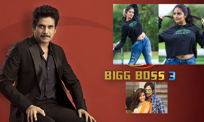  Special In Telugu Bigg Boss 3 Telugu-TeluguStop.com